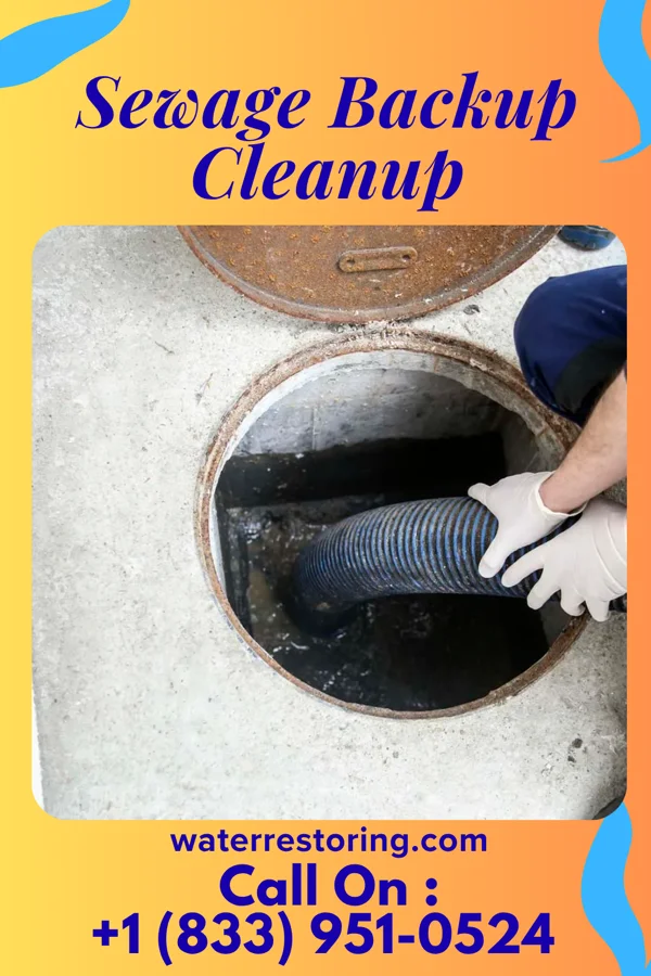Sewage Backup Cleanup in Lincoln, IA