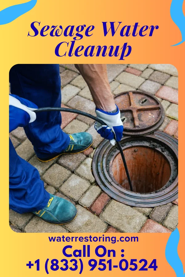Sewage Water Cleanup in Lincoln, IA