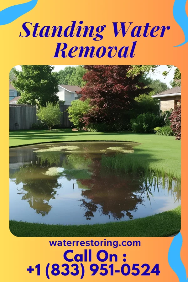 Standing Water Removal in Lincoln, IA